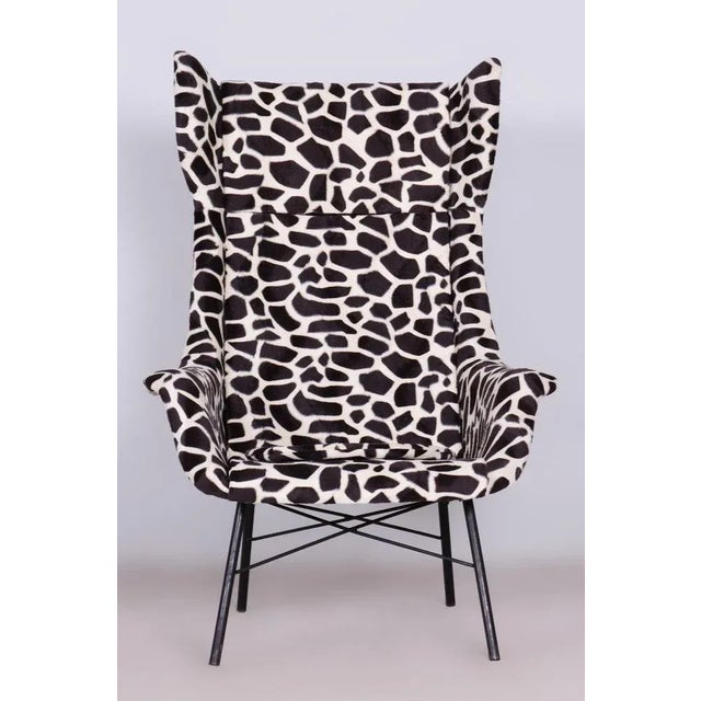 Black Wingchair with mitation Giraffe Fur from Miroslav Navratil, Czechia, 1950s For Sale - Image 8 of 13