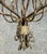 1980s Vintage Iron Chandelier with Rust Patina, 1980s For Sale - Image 5 of 7