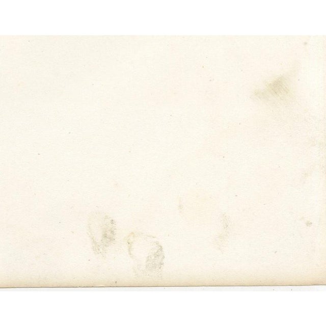 V. Rose, Alfort Veterinary School, 1873, Paper For Sale - Image 10 of 12