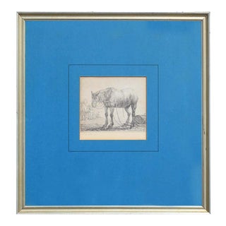 17th Century Realistic Animal Etching Print of a Horse on a Farm 1600s For Sale