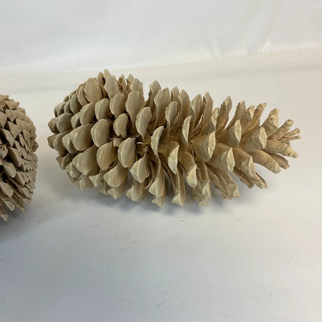 Vintage Arts & Crafts Farmhouse Americana Bleached Pinecones - A Pair, Thanksgiving For Sale - Image 6 of 11