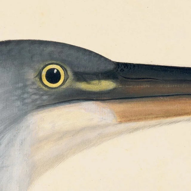 Wood Blue Birds Prints With Roma Moulding - a Pair For Sale - Image 7 of 12