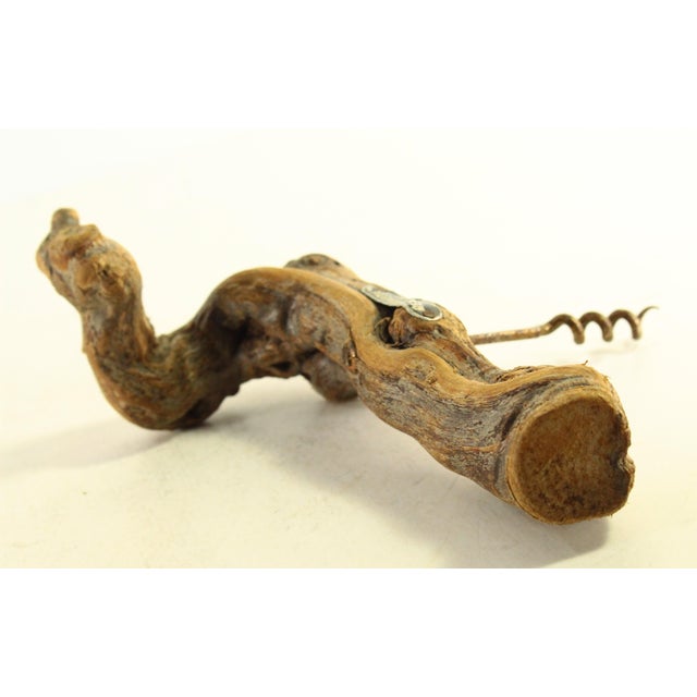 1960's Grapevine Corkscrew From Reine Pedauque Vineyard in Beaune, France For Sale - Image 4 of 12