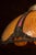 Antique Amber and Rose Stained Slag Glass Hanging Lamp For Sale In Chicago - Image 6 of 6