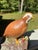American Pair of Glazed Ceramic Bobwhite Quail For Sale - Image 3 of 12