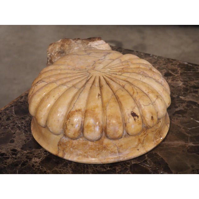 Early 21st Century Circular Lobed Marble Font Basin From Italy For Sale - Image 5 of 13