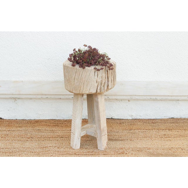 Wabi Sabi Driftwood Round Table For Sale In Los Angeles - Image 6 of 6