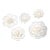 3d Ceramic Porcelain Flower Wall Decor Set - 5 Piece Mixed Floral Wall Hangings Peony Rose Daisy White For Sale