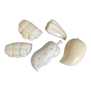 Antique African Carved Exotic Fruits - Set of 5