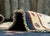 Textile Oriental Hand Knotted Round Rug 8' x 8' #17101 For Sale - Image 7 of 8