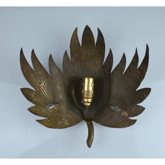 1950s Mid-Century Modern Plane Tree Leaf Wall Sconce in Gilt Brass, 1950s For Sale - Image 5 of 10