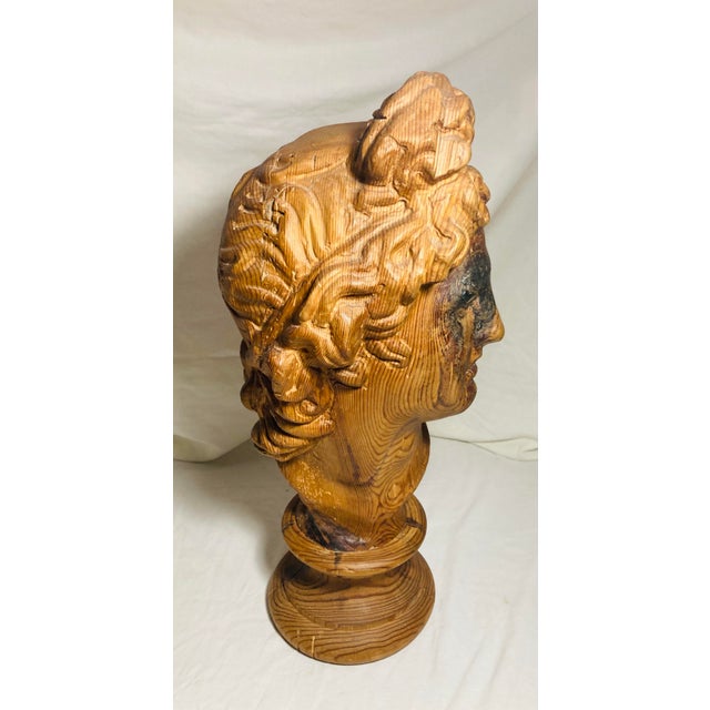 Vintage Hand Carved Wood Bust of the God Apollo For Sale - Image 4 of 11