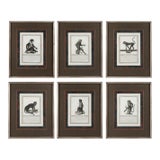 19th-C. French Monkey Engravings Nicolas Henri Jacob - Jacob’s Monkeys - Framed & Matted - Set of 6 For Sale
