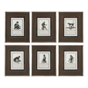19th-C. French Monkey Engravings Nicolas Henri Jacob - Jacob’s Monkeys - Framed & Matted - Set of 6