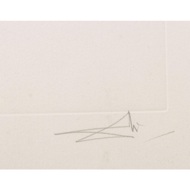 Salvador Dali "Daylily (Elephant)" Etching, 1972 For Sale - Image 9 of 13