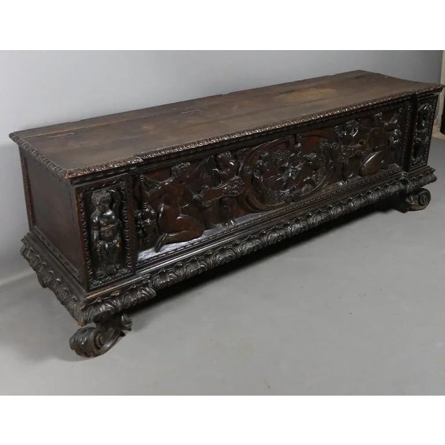 Walnut 19th Century Walnut Cassone Chest For Sale - Image 5 of 12