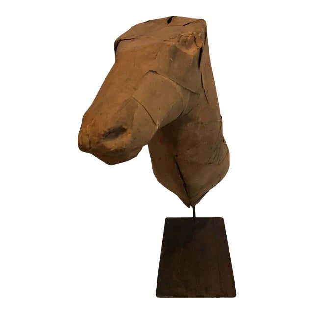 Early 20th Century Taxidermy Mold Horse Head For Sale