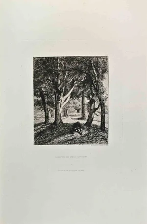 Théophile Chauvel, Carrefour des Gorges d'Apremont, Etching, 1870s