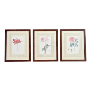 1970s Franz Bauer Botanical Illustrations - Set of 3