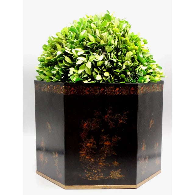 Boho Chic Large Italian Regency Style Toleware Jardinieres W/ Preserved Boxwood, a Pair For Sale - Image 3 of 15