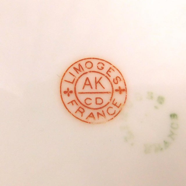 White 1900s Klingenberg & Dwenger Limoges Plate For Sale - Image 8 of 8