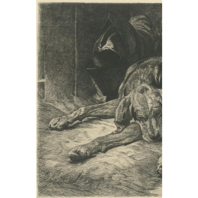 W. Wise, Sleeping Hound with a Plumed Helmet, 1880, Etching For Sale - Image 4 of 9
