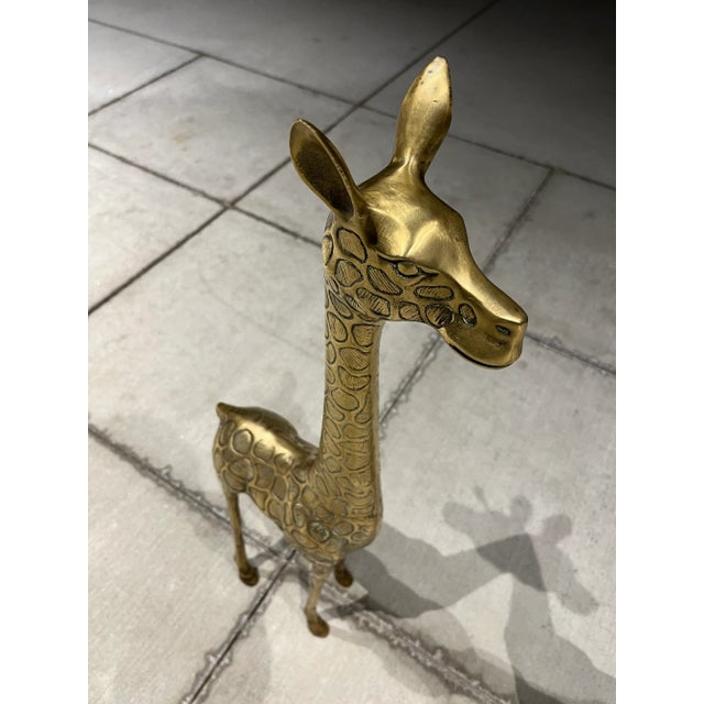 Brass Fine Pair of Midcentury Brass Giraffe Sculptures For Sale - Image 8 of 13