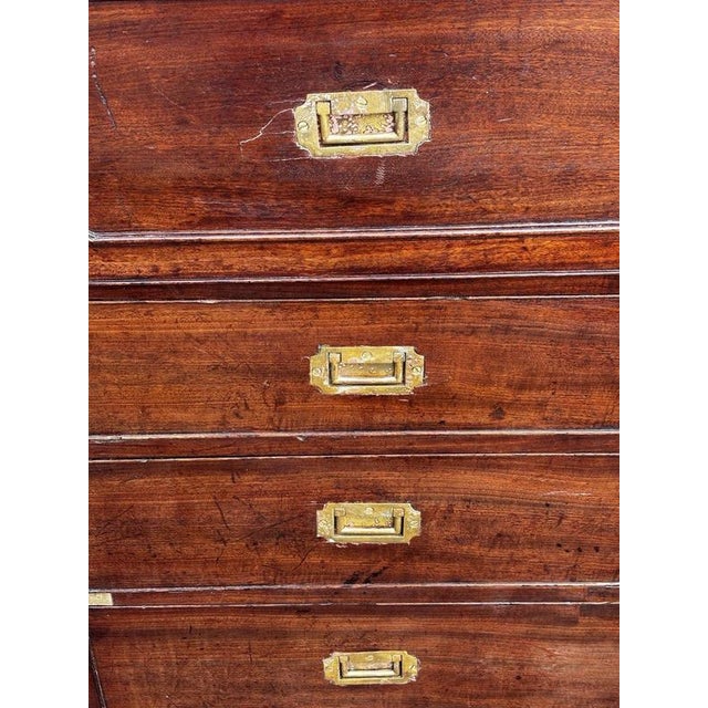 Brown Campaign Chest of Drawers in Mahogany For Sale - Image 8 of 18