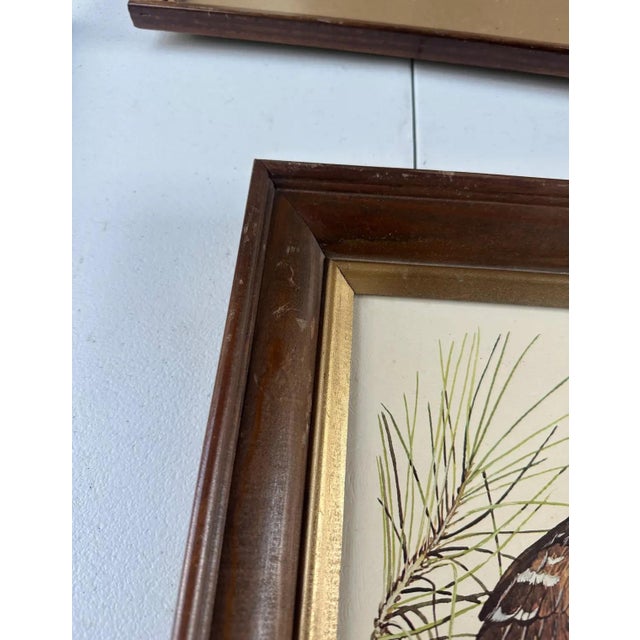 Up for consideration is a beautiful pair of signed owl paintings in wooden frames. These would look lovely on display in...