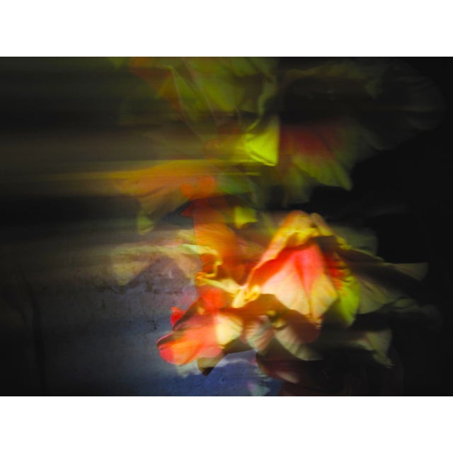 Contemporary Fine Art Photographic Abstract Flower Print For Sale