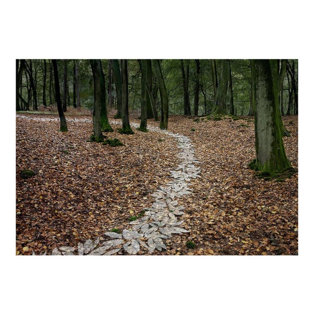 Come with Me 8, Ellie Davies, 2011 For Sale