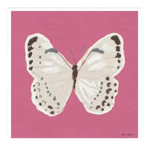 White Monarch in Pink By Dana Gibson, Framed Art Print