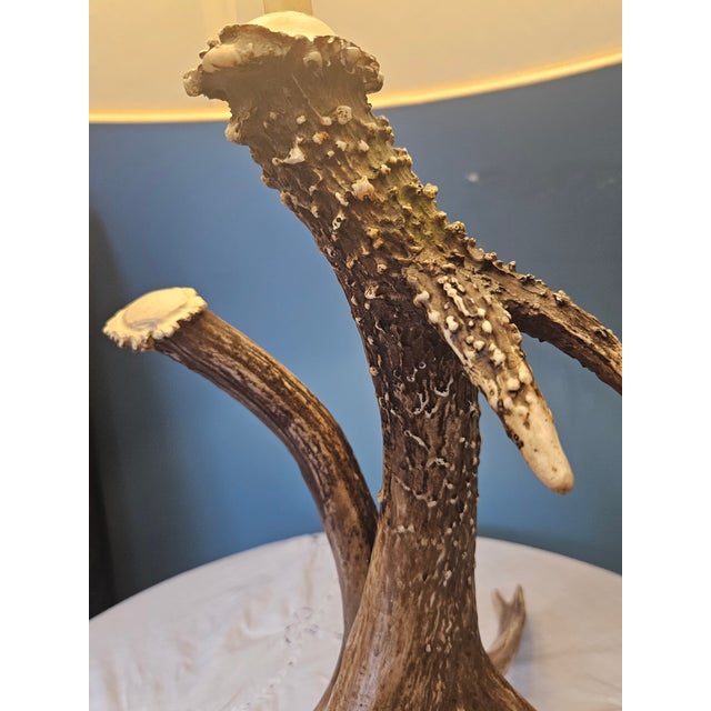 Bone Vintage Antler Table Lamp For Sale - Image 7 of 9