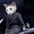 Early 21st Century Moonlight's Tale by Marcin and Kate Owczarek | Digital Art of anthropomorphized cats in a moonlit scene For Sale - Image 5 of 5