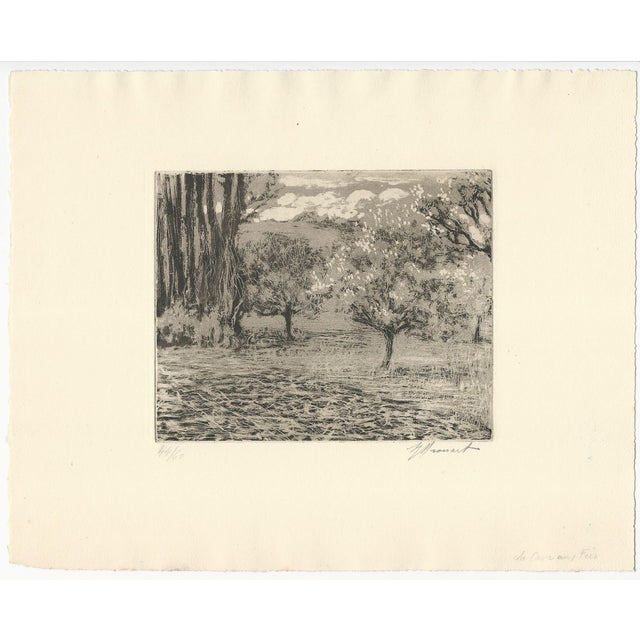 Raphaël Drouart (1884 1972) La Cave aus Fées (The Fairies' Cave) Original Etching on Paper 1920s Size (overall): 225 x 280...