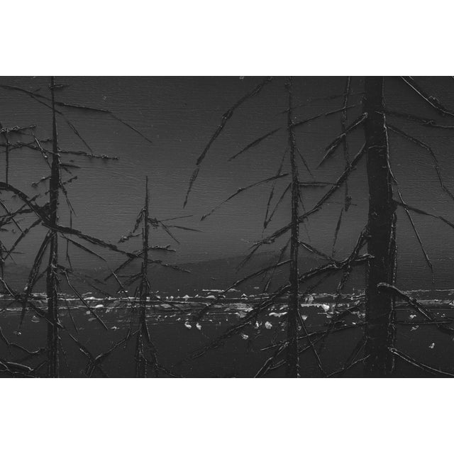 Darkness Rises captures a haunting nocturnal landscape, where stark, skeletal trees emerge against a deep, inky sky. The...