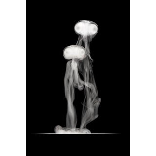 Timid Creatures - Photographic Print by George Diebold For Sale