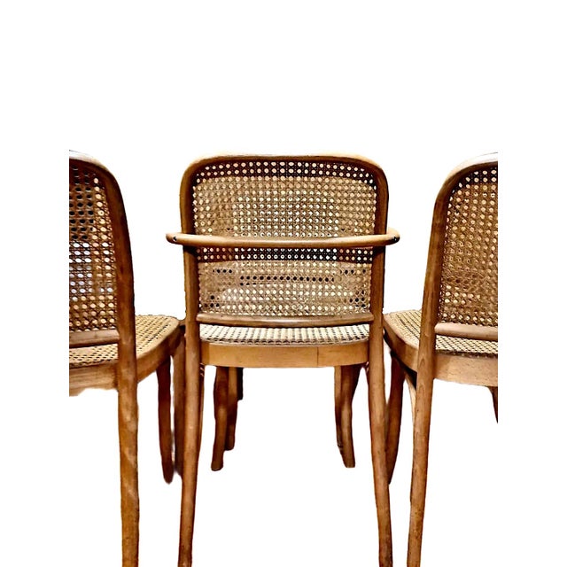1960s Set of Six Josef Hoffmann-Designed “Prague” Bentwood & Cane Chairs For Sale - Image 5 of 6