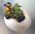 Ceramic Todd Warner Parrot Hatching From Egg Sculpture Limited Ed. Signed 2000 For Sale - Image 7 of 8
