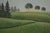 Contemporary Josef Bramer (B. 1948). Lush Landscape Fine Original Lithograph Signed For Sale - Image 3 of 6