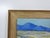 Mid 20th Century Mid 20th Century Flowering Desert Landscape Painting For Sale - Image 5 of 8