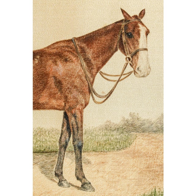 1900 - 1909 Rare Pair Antique English Horse Portraits on Silk Hand Painted Equestrian Sporting Art Home Decor For Sale - Image 5 of 17