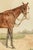 1900 - 1909 Rare Pair Antique English Horse Portraits on Silk Hand Painted Equestrian Sporting Art Home Decor For Sale - Image 5 of 17