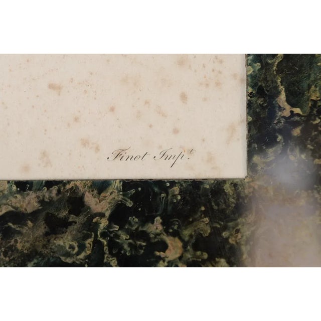 Hollywood Regency 18th-C. Colored Monkey Print by Jean Baptiste For Sale - Image 3 of 6