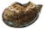 Large Murano Glass Ashtray attributed to Dino Martens, Italy, 1950s For Sale