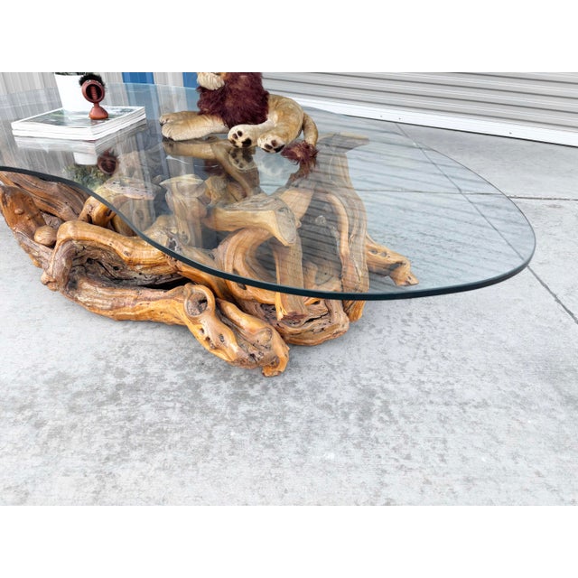 Wood 1960s Mid-Century Modern Driftwood Coffee Table With Freeform Glass Top For Sale - Image 7 of 15