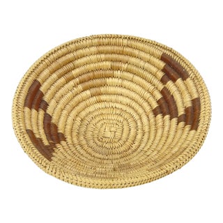 Early 20th Century Tonga Basket Zambia 8inch Snake Belly Edge MATTER COLLECTION For Sale