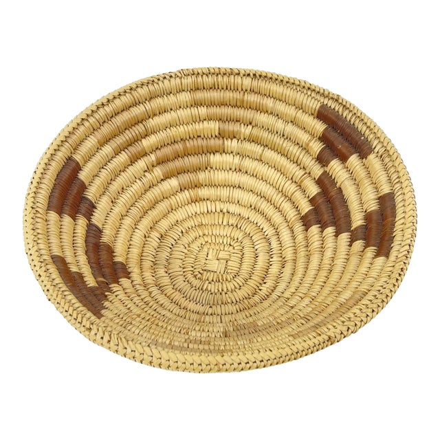 Early 20th Century Tonga Basket Zambia 8inch Snake Belly Edge MATTER COLLECTION For Sale