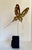 1970s Brutalist Torch Cut Butterfly Sculpture on Wood Base For Sale In Los Angeles - Image 6 of 10
