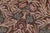 1990s Boho Chic 1990's Floral Pak-Persian Brown/Beige Wool Round Rug - 6'2'' X 6'6'' For Sale - Image 5 of 9